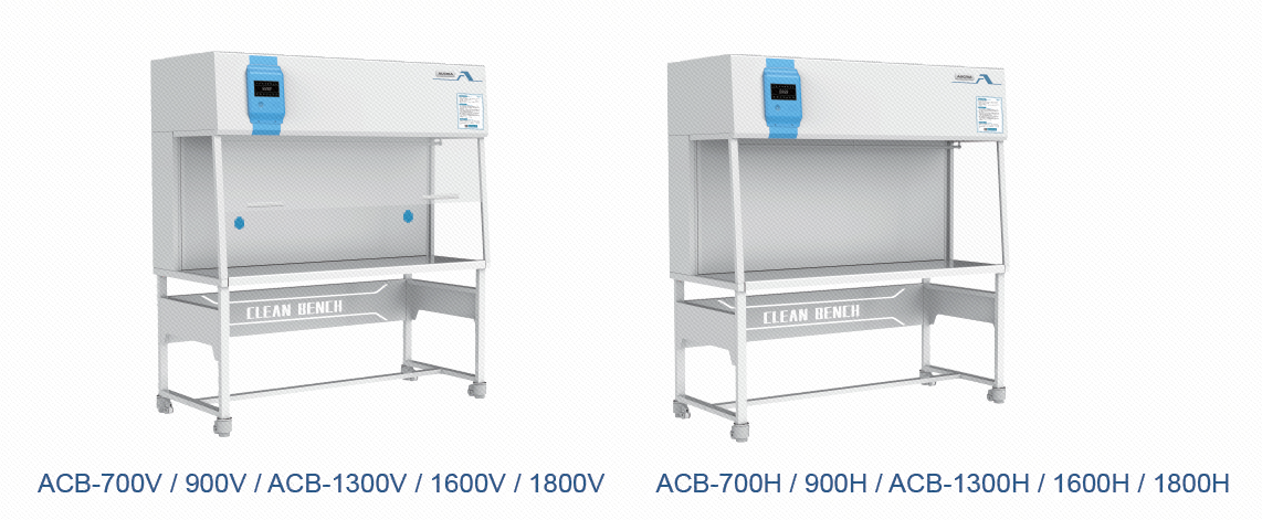 Afbeelding_20240812112604