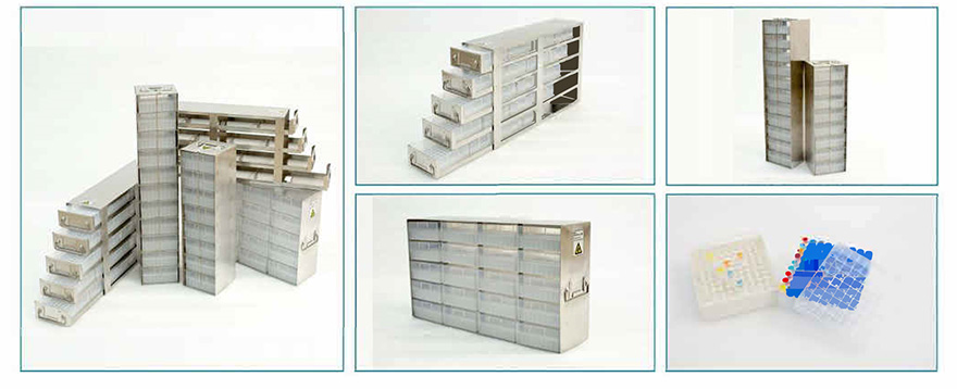 Afbeelding_20240403151134