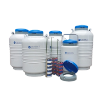 Inzicht in vloeibare stikstofcontainers: belangrijke kenmerken en toepassingen